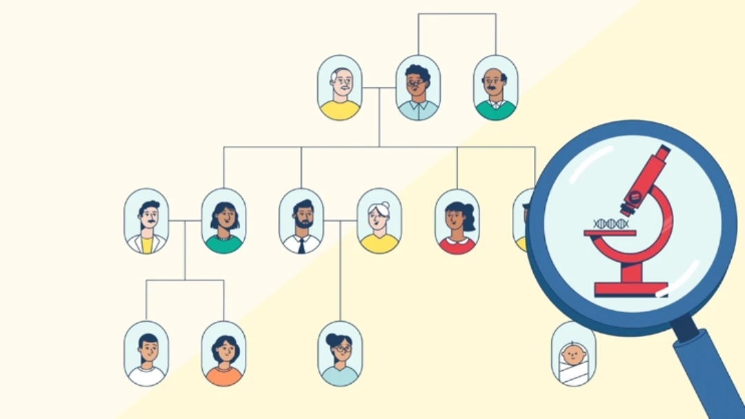 Video: Understand the foundations of a family tree