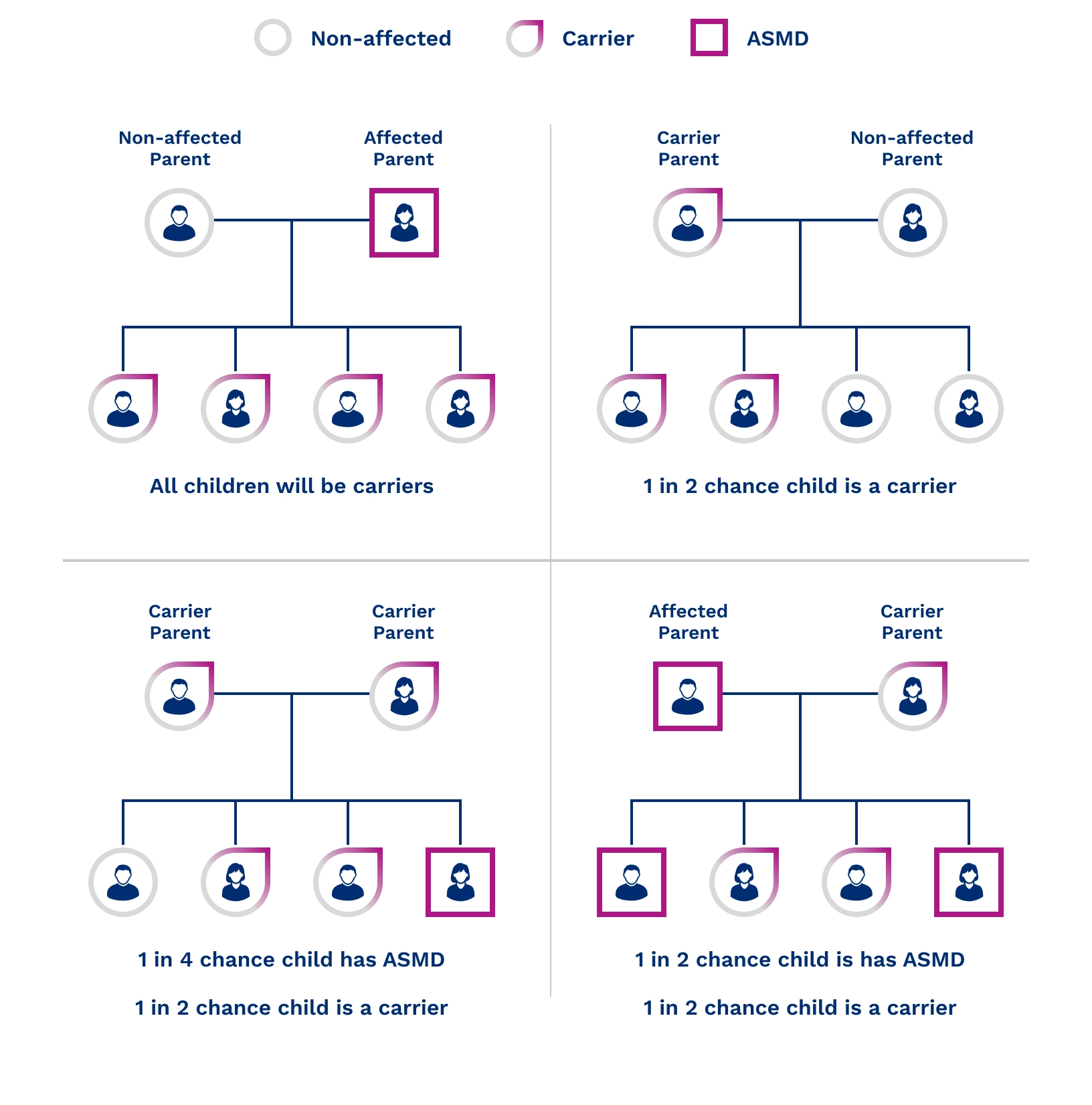 ASMD inheritance pattern graphic