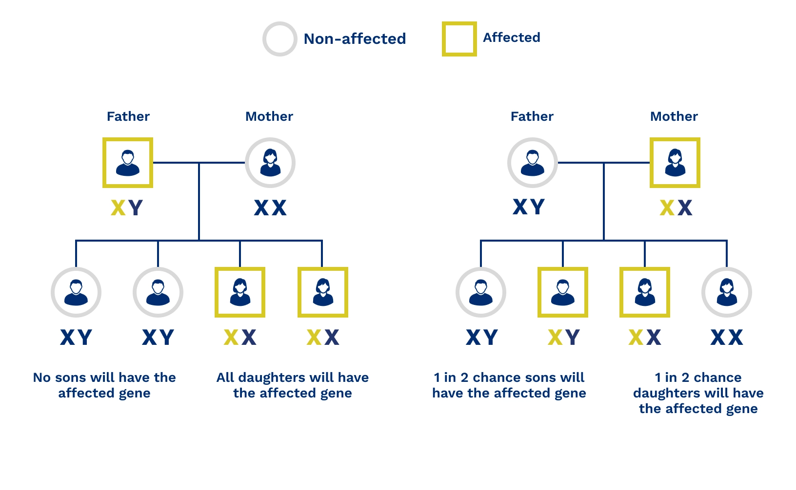 Fabry disease affected father/mother inheritance pattern