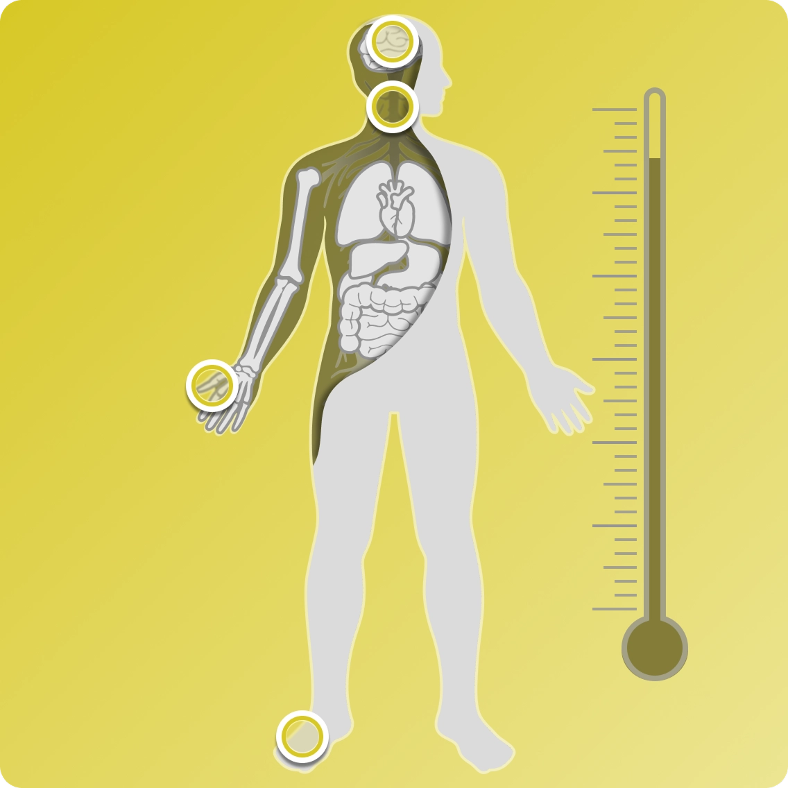 Graphic of human body outline showing possible symptom locations